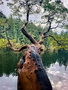 [ PIX3 ]
