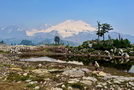 [ PIX3 ]